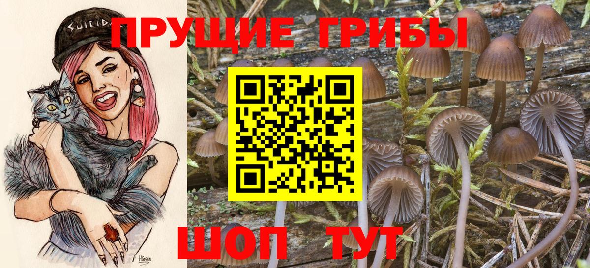 закладка  Галлюциногенные грибы мицелий  Вход с VPN  Тобольск 