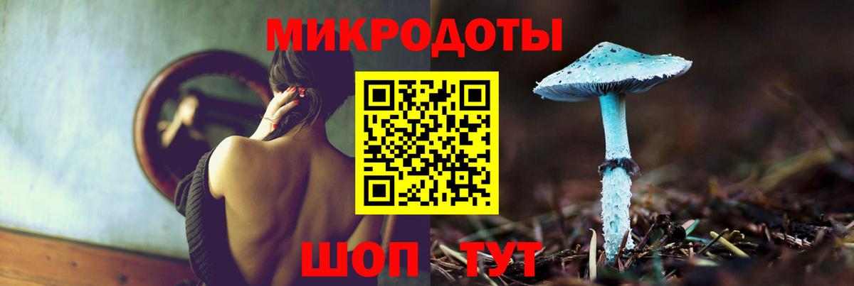 Псилоцибиновые грибы Cubensis Тобольск